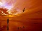 Picture for song 'PARA QUE EL FRUTO NAZCA 1' by artist 'EntreCantos de Costa Rica'