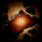 Picture for song 'Oxen' by artist 'Euterpe Archipelago'