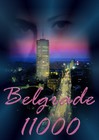 Picture for song 'Belgrade 11000' by artist 'Evotica'