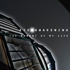 Picture for song 'The Moment of My Life' by artist 'Eye Awakening'