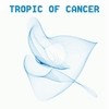 Picture for song 'Tropic Of Cancer' by artist 'Far Horizon'