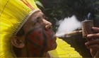 Picture for song 'Chiefin' by artist 'FhyreMann Productions'