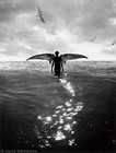 Picture for song 'Gimme My Wings (Im Gone)' by artist 'FhyreMann Productions'