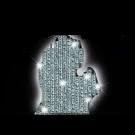 Picture for song 'Michigan Anthem' by artist 'Fifty cal'