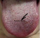 Picture for song 'souring nose-board relations' by artist 'fini'