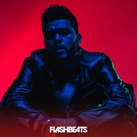 Picture for song 'Some Way' by artist 'FlashBeats.net'