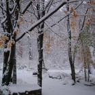 Picture for song 'Waiting Out the Pain' by artist 'Floyd Armlin'