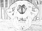 Picture for song 'Katrina' by artist 'ForeverGrasping'