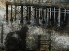 Picture for song 'Psalm 22' by artist 'ForeverGrasping'