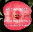 Picture for song 'Kern der Dinge' by artist 'Frankfurt Dialog Company'