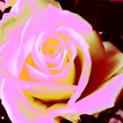 Picture for song 'Symph980Mvt1Abloomingflower' by artist 'FranklinEMorris'