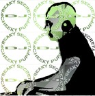Picture for song 'She's Gone Crazy' by artist 'freakysecretdjcheekypuppy'