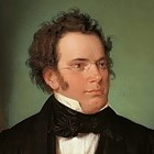 Picture for song 'Forellenquintet V mt.' by artist 'FROSCH String Quartet'