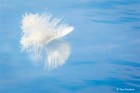 Picture for song 'Ever So Softly' by artist 'gabe stenziano'
