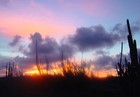 Picture for song 'Guide Me To Your Glory, Lord' by artist 'Gallup 'n Dawg'