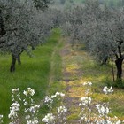 Picture for song 'Quite Splendour' by artist 'Gary Hunter'