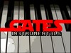 Picture for song 'Street's requiem' by artist 'gates instrumentals'