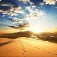 Picture for song 'DESERT WINDS ( TR5 I Wish CD)' by artist 'Gavin Baker'