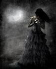 Picture for song 'ANGEL' by artist 'GIP Productions Inc'