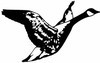Picture for song 'Spirit In The Sky' by artist 'Goose Creek Bands'