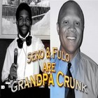Picture for song 'The Hula Slide' by artist 'Grandpa Crunk'