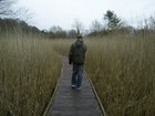 Picture for song 'all grime mix 17_01_08' by artist 'h0stile'
