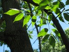 Picture for song 'August Blues' by artist 'Halfway To Nowhere'