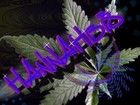 Picture for song 'Future - Hannahbis' by artist 'Hannahbis'