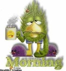 Picture for song 'Monday moring' by artist 'Hans van der Werf'