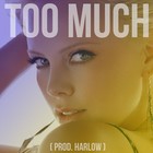 Picture for song 'Too Much' by artist 'Harlow Beats'