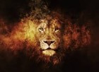 Picture for song 'Perseverance' by artist 'H-Cain Productions'
