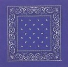 Picture for song 'Ms. Roki diss' by artist 'HDHS forum- members'