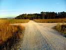 Picture for song 'Herb - Fork in the Road Remake' by artist 'herb'