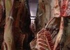 Picture for song 'Den Dam Abattoir (painting by shotgun mix)' by artist 'herbsquare'