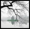 Picture for song 'Rie^ng Minh` Anh Co^ Do*n' by artist 'hungsalo'
