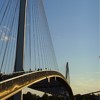 Picture for song 'Introduction' by artist 'IamG'