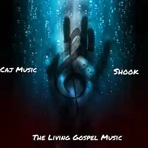 Picture for song 'Shook' by artist 'Caj Music'