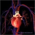 Picture for song 'Something Special In Me!' by artist 'ICC'