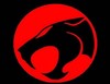 Picture for song 'Remember When' by artist 'Info-Red Squad'