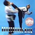Picture for song 'RoundHouse Kick' by artist 'InterSlot Call'