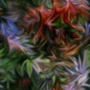 Picture for song 'Slipslide' by artist 'Island'