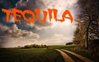 Picture for song 'Tequila' by artist 'J9Sound'
