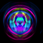 Picture for song 'Shunyata' by artist 'Jack Vegas'