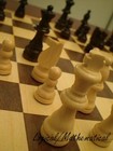 Picture for song 'Logical King' by artist 'Jae Dahmer 905'