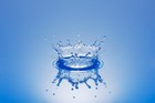 Picture for song 'Drop It In The Water' by artist 'Jail Byrd Ent'