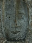 Picture for song 'Where My Heads At' by artist 'Jamey Darnold'