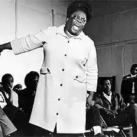 Picture for song 'The Flag! feat. Fannie Lou Hamer' by artist 'Jason X MCJX (world wide)'