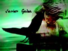 Picture for song 'Miradas' by artist 'Javier Galea'