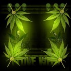 Picture for song 'SUP3R TRAP STAR' by artist 'JAY MIKE PRODUCTIONS'