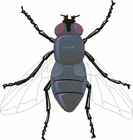 Picture for song 'Fly Away' by artist 'Jeff Waldman'